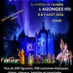 Affiche son et lumieres 2026 A3 sans prix