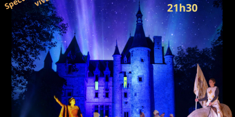 Affiche son et lumieres 2026 A3 sans prix