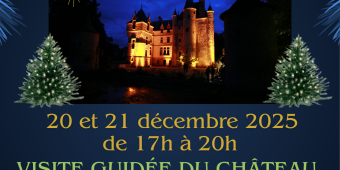 Blue Modern Mery Christmas And Happy New Year (Affiches) (3)